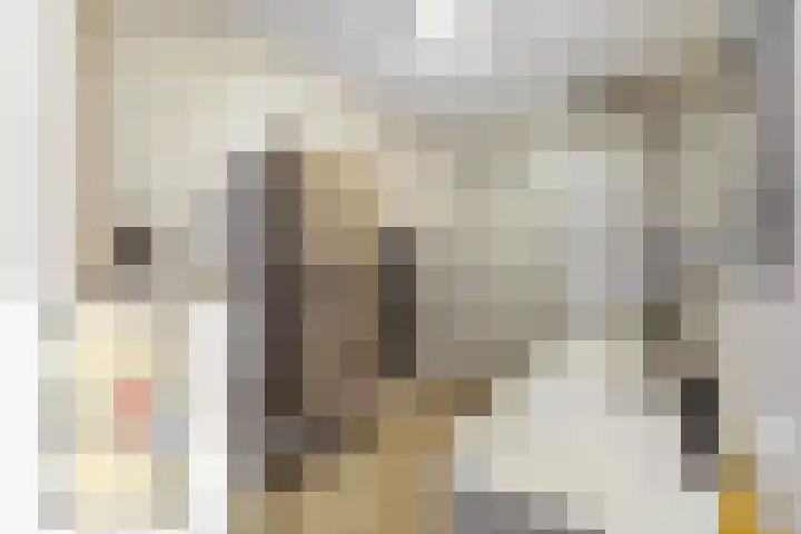 Korenbloem 15 Oudenhoorn thumbnail 48