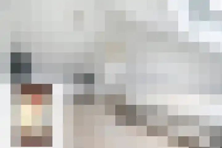 Korenbloem 15 Oudenhoorn thumbnail 52