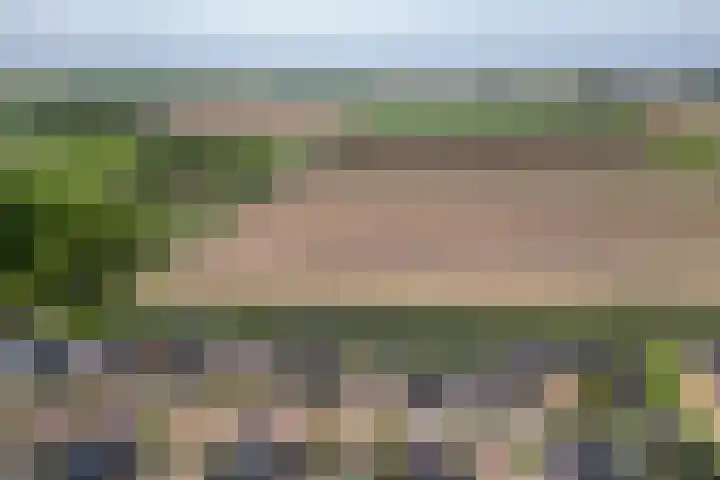 Korenbloem 15 Oudenhoorn thumbnail 56