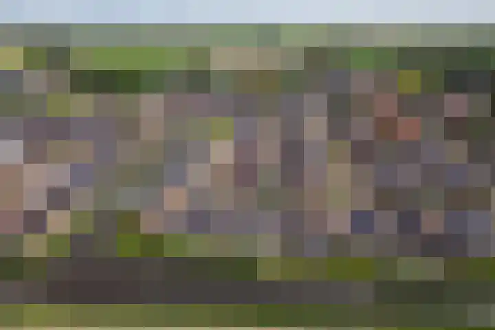 Korenbloem 15 Oudenhoorn thumbnail 58