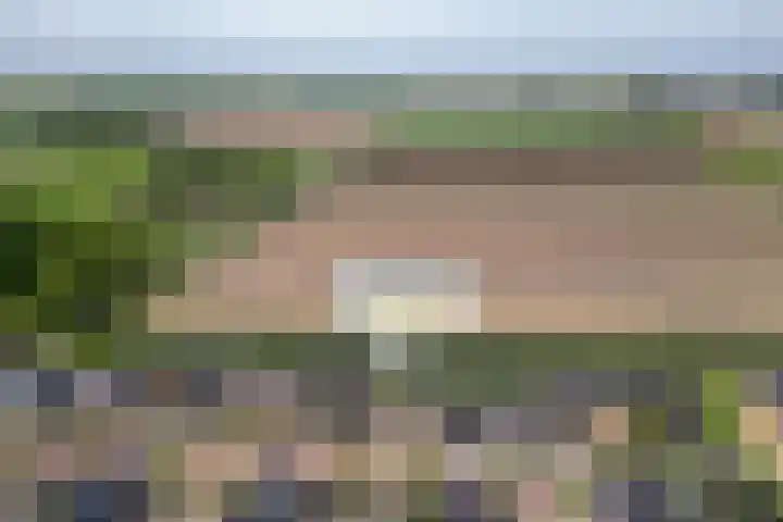 Korenbloem 15 Oudenhoorn thumbnail 6
