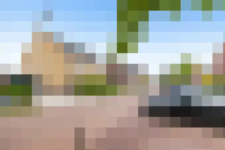 Korenbloem 15 Oudenhoorn thumbnail 7