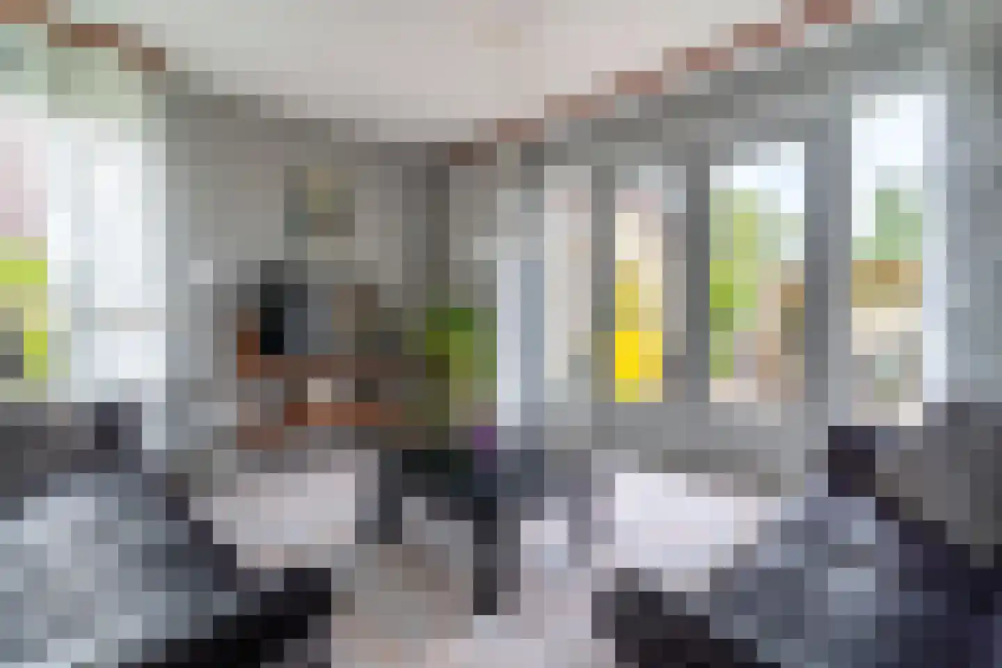 Korenbloem 16 Elburg thumbnail 12