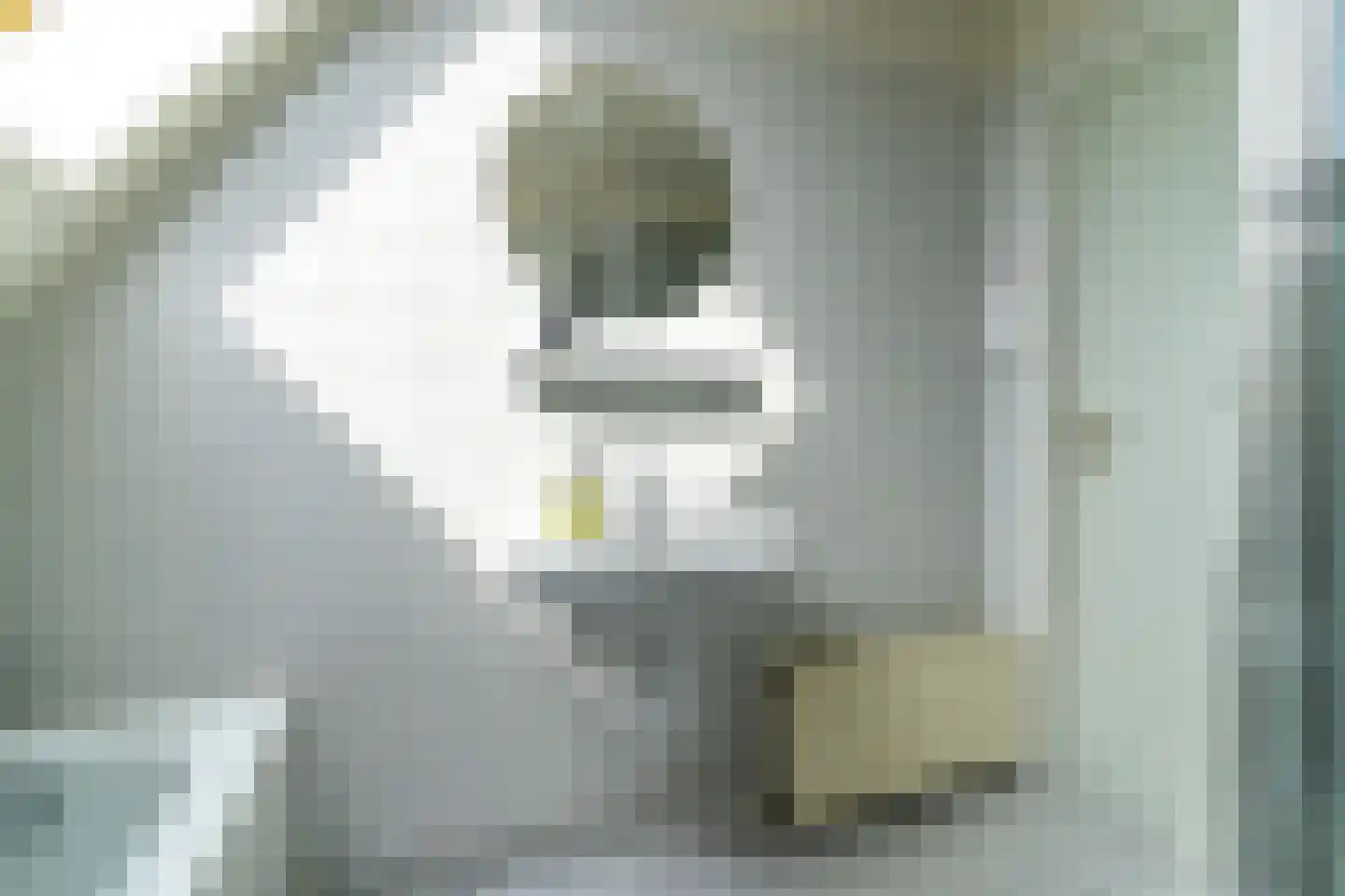 Korenbloem 16 Elburg thumbnail 30