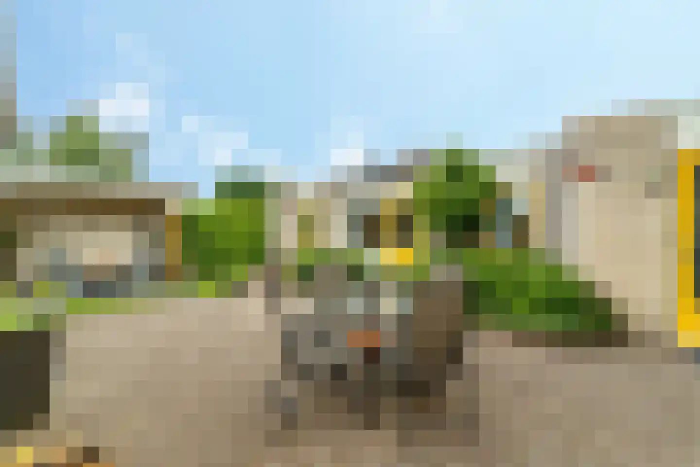 Korenbloem 16 Elburg thumbnail 37