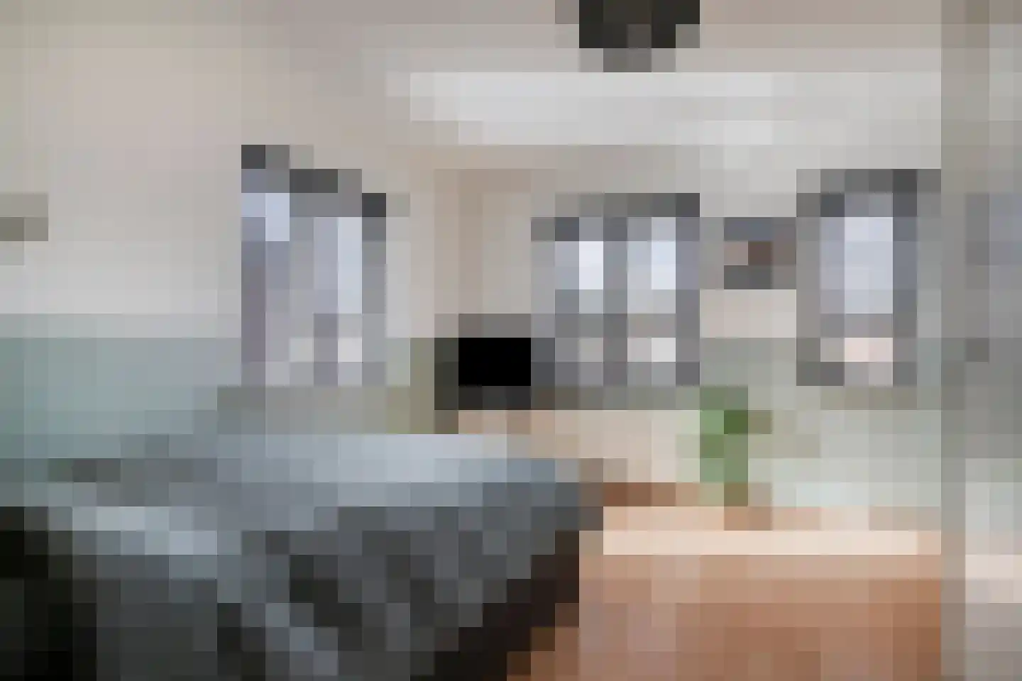 Korenbloem 18 Boekel thumbnail 20