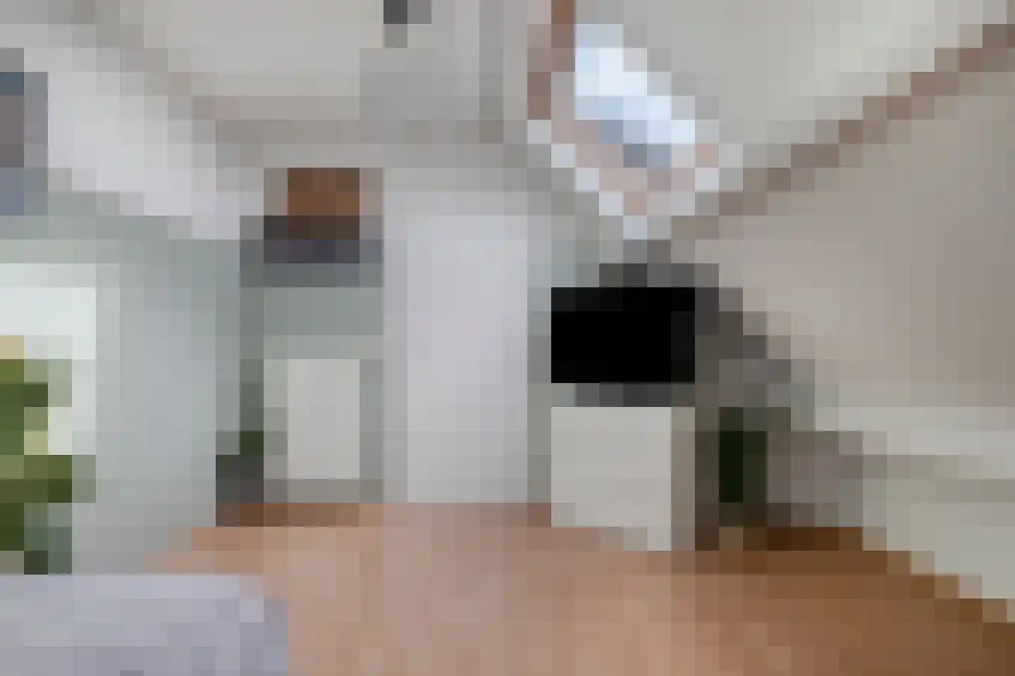 Korenbloem 18 Boekel thumbnail 32