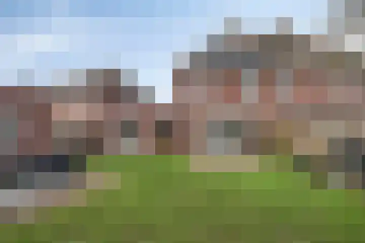 Korenbloem 18 Boekel thumbnail 37