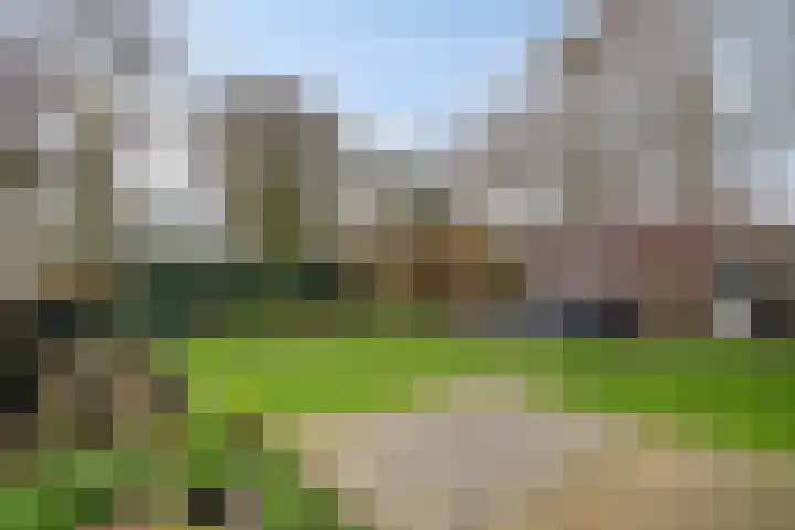 Korenbloem 18 Boekel thumbnail 38