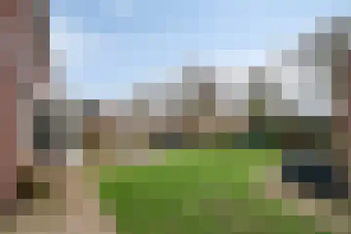Korenbloem 18 Boekel thumbnail 40