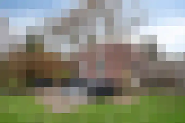 Korenbloem 18 Boekel thumbnail 41