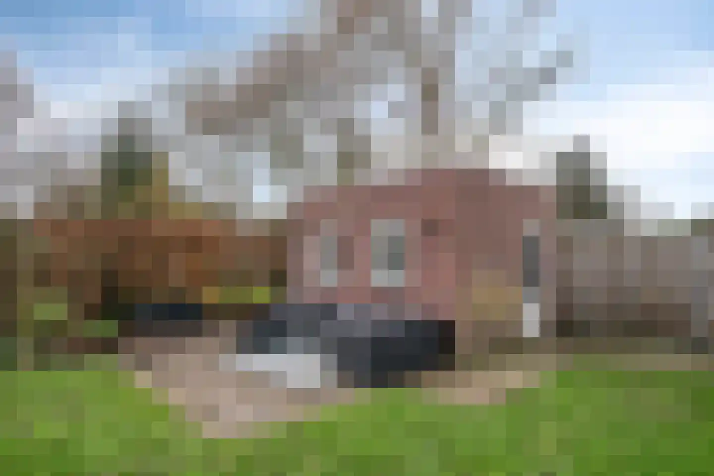 Korenbloem 18 Boekel thumbnail 41