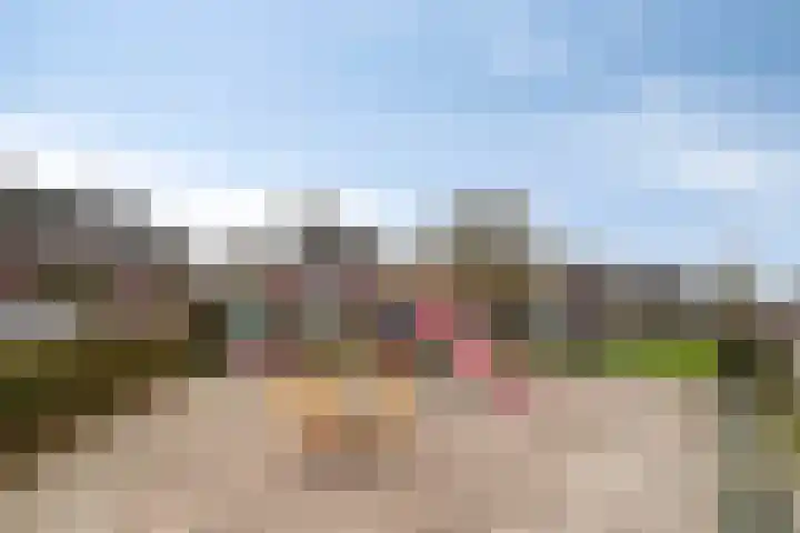 Korenbloem 18 Boekel thumbnail 44