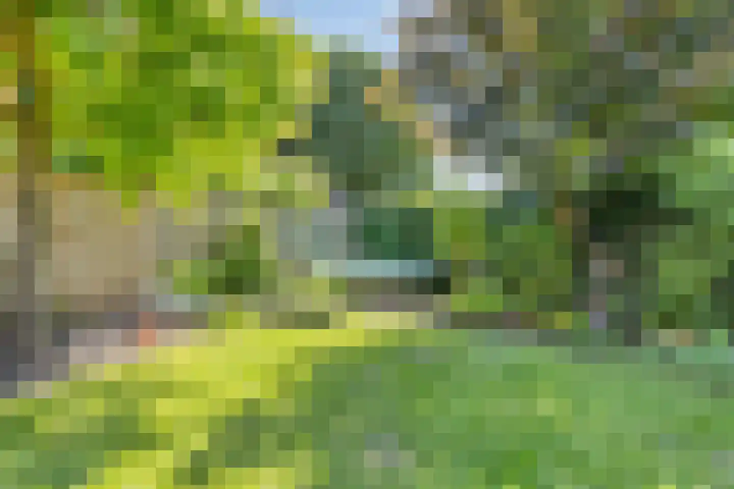 Korenbloem 18 Boekel thumbnail 48