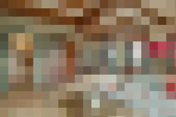 Korenbloem 2 Opmeer thumbnail 13