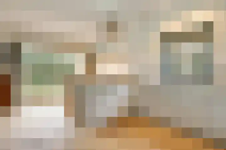Korenbloem 2 Opmeer thumbnail 15