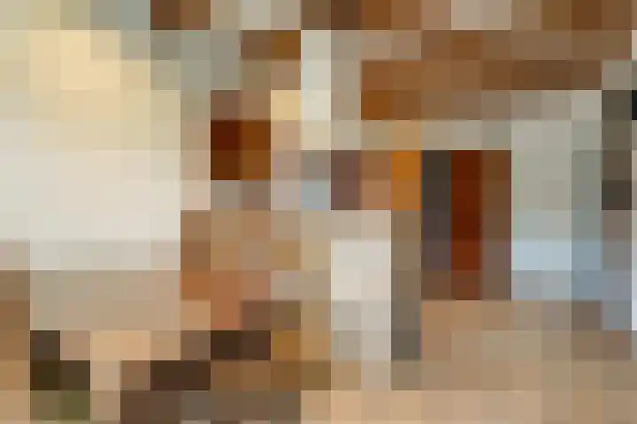 Korenbloem 2 Opmeer thumbnail 17