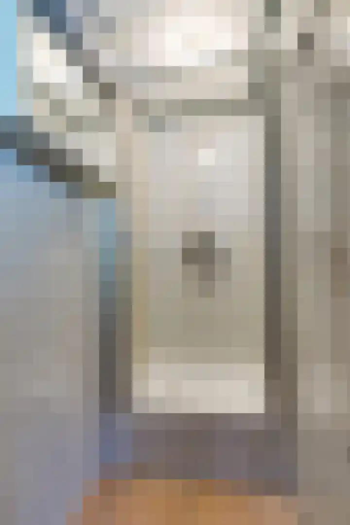 Korenbloem 2 Opmeer thumbnail 21