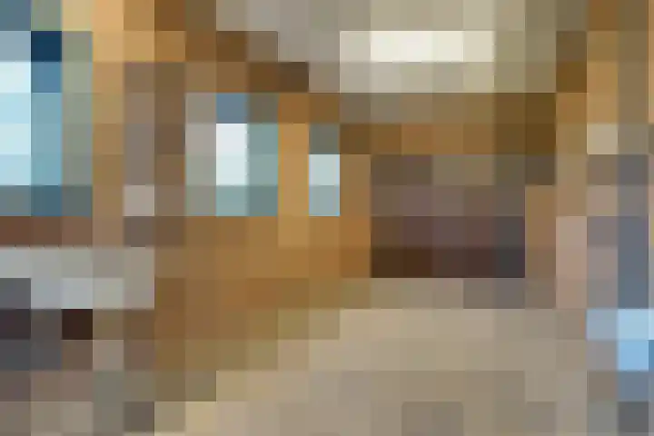 Korenbloem 2 Opmeer thumbnail 23