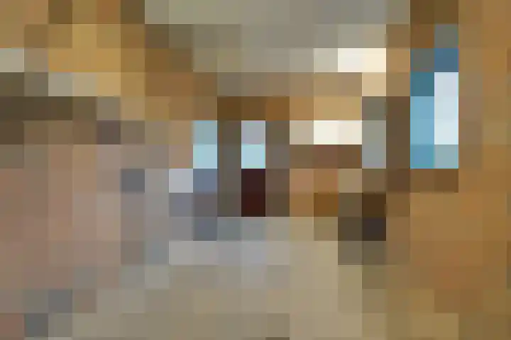 Korenbloem 2 Opmeer thumbnail 25