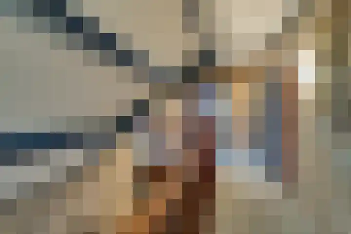 Korenbloem 2 Opmeer thumbnail 31