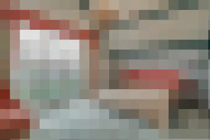 Korenbloem 2 Opmeer thumbnail 32
