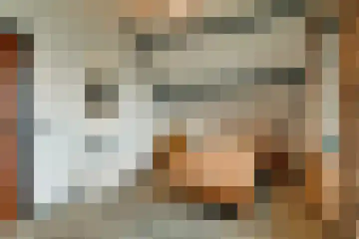 Korenbloem 2 Opmeer thumbnail 37