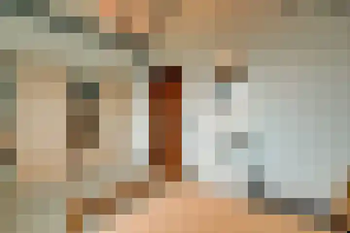Korenbloem 2 Opmeer thumbnail 39
