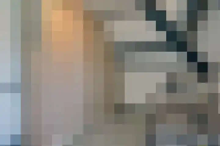Korenbloem 2 Opmeer thumbnail 44