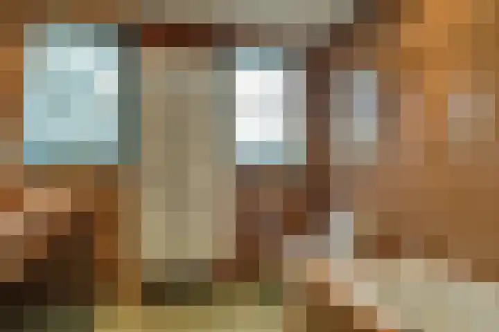 Korenbloem 2 Opmeer thumbnail 46