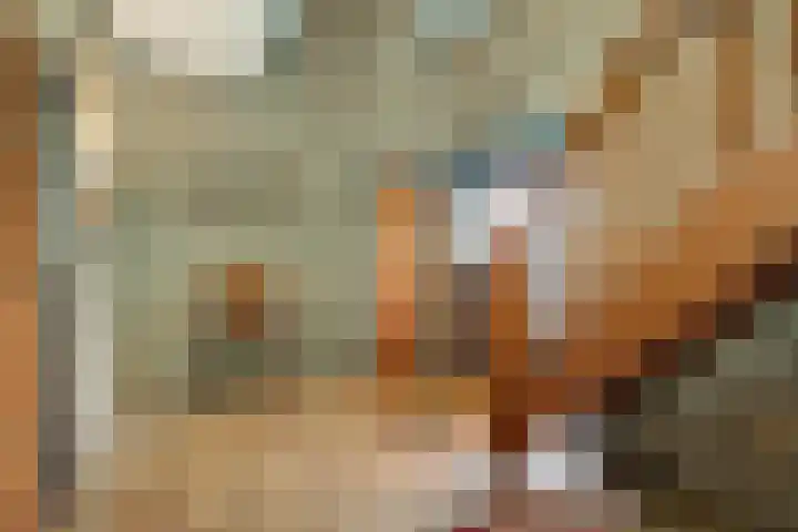 Korenbloem 2 Opmeer thumbnail 5