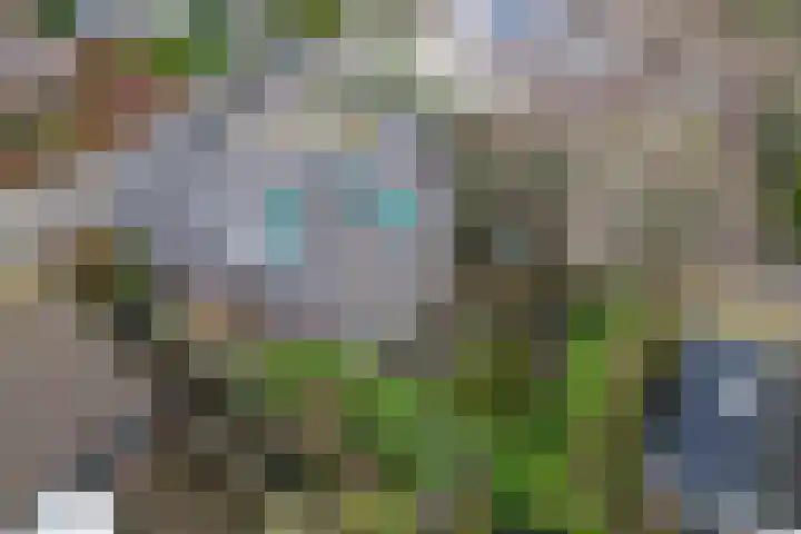 Korenbloem 2 Opmeer thumbnail 54