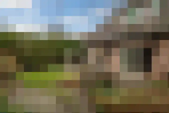 Korenbloem 2 Opmeer thumbnail 55