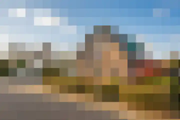 Korenbloem 2 Opmeer thumbnail 60