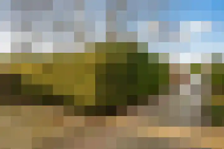 Korenbloem 2 Opmeer thumbnail 61