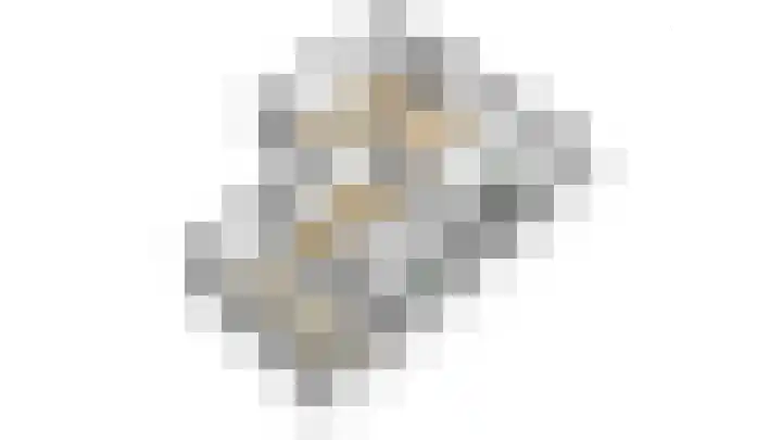 Korenbloem 2 Opmeer thumbnail 65