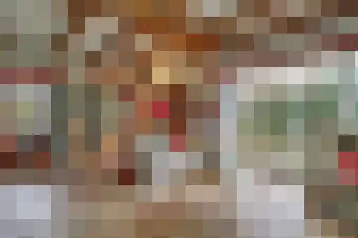 Korenbloem 2 Opmeer thumbnail 7