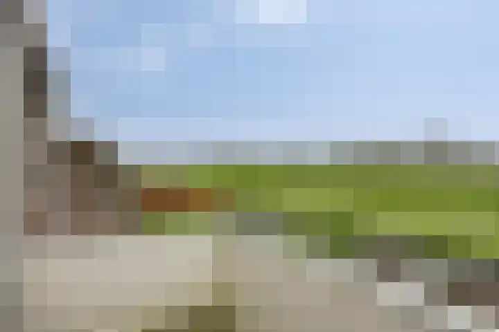 Korenbloem 24 IJsselmuiden thumbnail 15