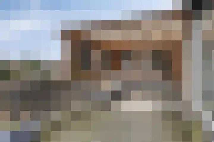 Korenbloem 24 IJsselmuiden thumbnail 16