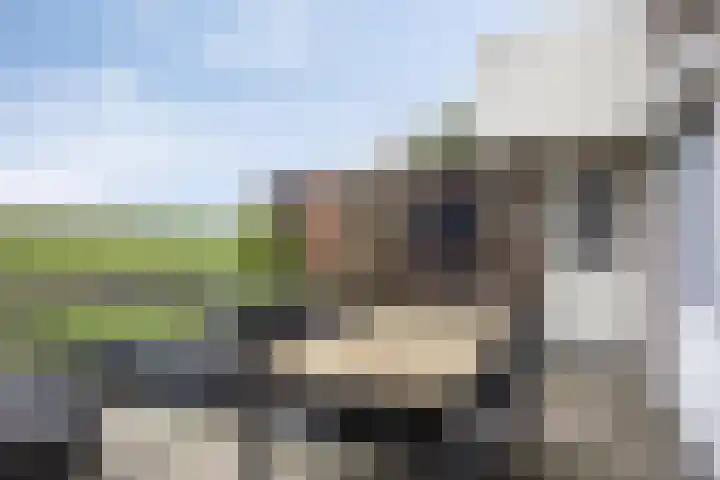 Korenbloem 24 IJsselmuiden thumbnail 30