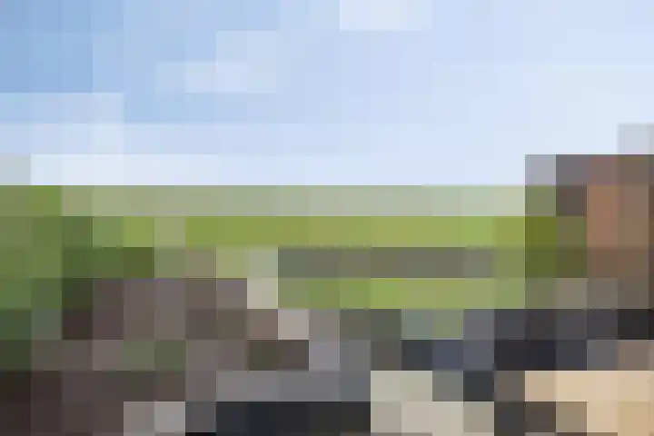 Korenbloem 24 IJsselmuiden thumbnail 31