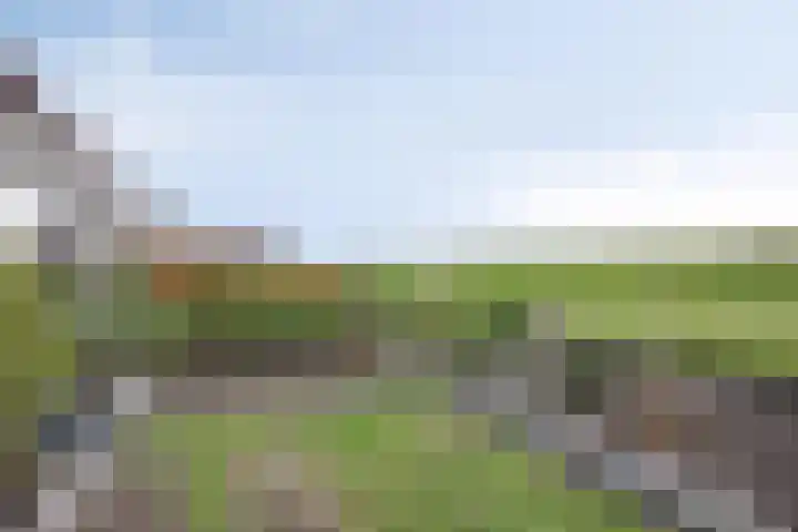 Korenbloem 24 IJsselmuiden thumbnail 32