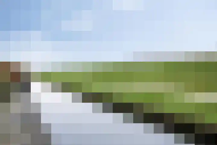 Korenbloem 24 IJsselmuiden thumbnail 33