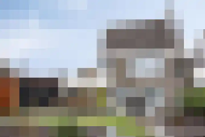 Korenbloem 24 IJsselmuiden thumbnail 34