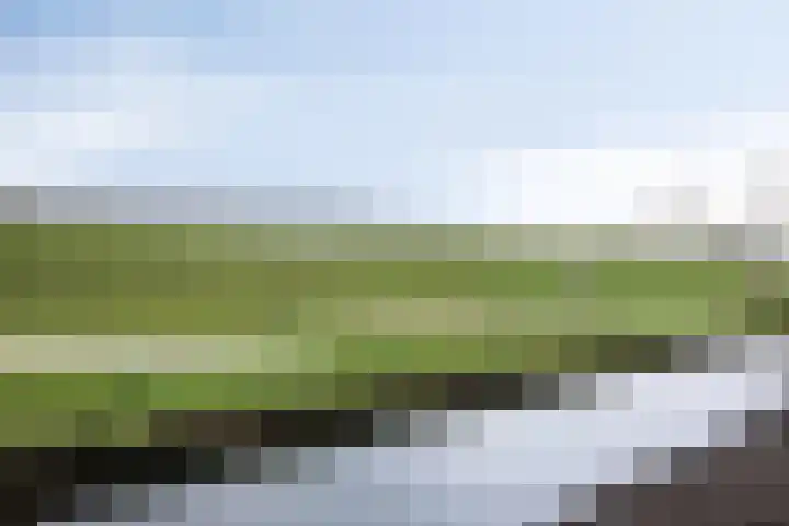 Korenbloem 24 IJsselmuiden thumbnail 36