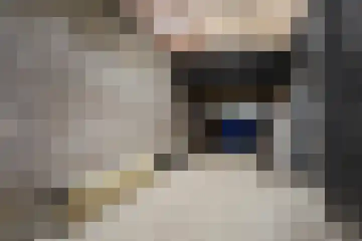 Korenbloem 24 IJsselmuiden thumbnail 37