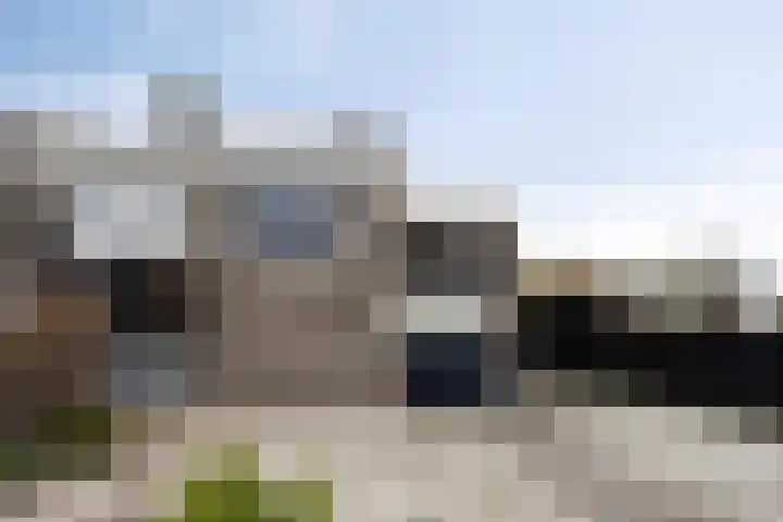 Korenbloem 24 IJsselmuiden thumbnail 39