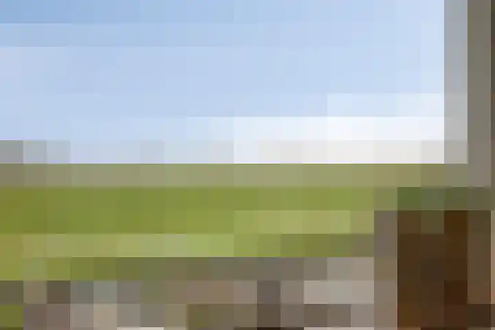 Korenbloem 24 IJsselmuiden thumbnail 6