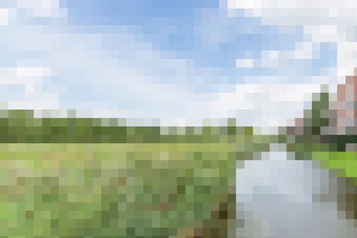 Korenbloem 24 Mijdrecht thumbnail 33