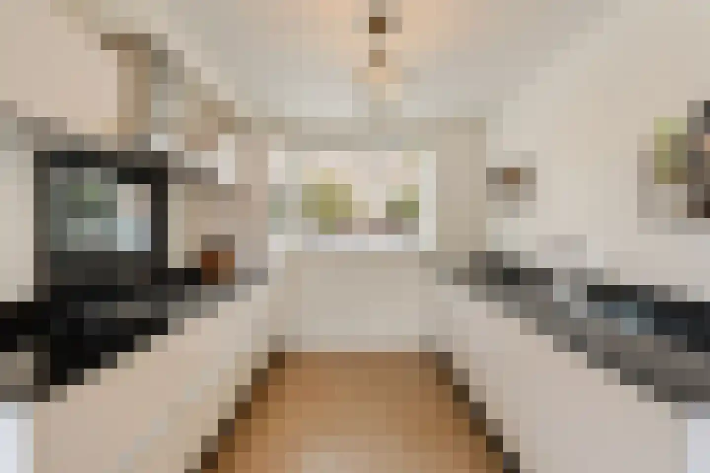 Korenbloem 24 Noordwijkerhout thumbnail 16